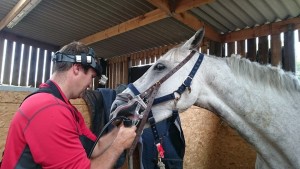 Barrington having teeth checked